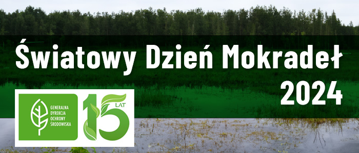 Światowy Dzień Mokradeł - Eco News